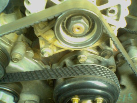 2000 Ford Crown Victoria - Gartorback Belt