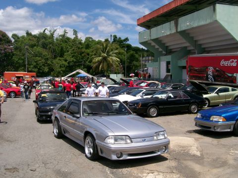 2001 Ford Mustang - Several generations of Ford Mustangs are gathered at an outdoor event, possibly a car show.
