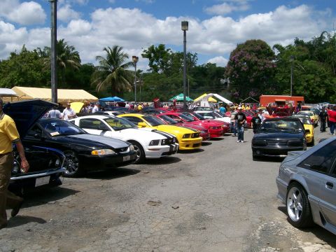 2001 Ford Mustang - A collection of Ford Mustangs, spanning multiple generations, are gathered at an outdoor event.