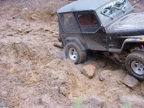 1995 Jeep Wrangler “Black Dragon”