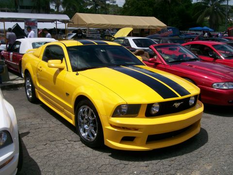 2001 Ford Mustang - A bright yellow Ford Mustang with black racing stripes is parked at an outdoor car show.