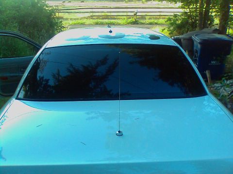 2000 Ford Crown Victoria - Rear view of a light blue 2000 Ford Crown Victoria sedan, showing tinted rear window and trunk antenna.