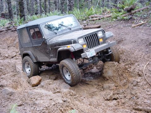 1995 Jeep Wrangler “Black Dragon”