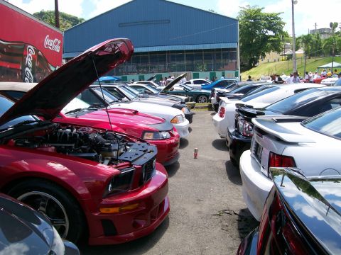 2001 Ford Mustang - A line of Mustangs are parked with hoods up at a car show.