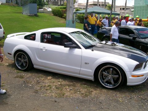 2001 Ford Mustang - A white 2005 Ford Mustang GT with black hood stripes is parked at an outdoor event with other vehicles and people.