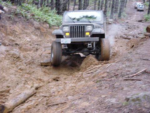 1995 Jeep Wrangler “Black Dragon”