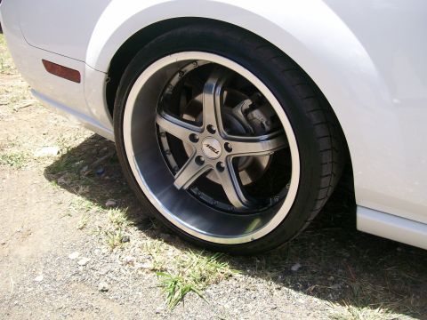 2001 Ford Mustang - A white car, possibly a 2001 Ford Mustang, features custom TSW rims and a red side marker light.