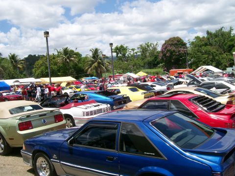 2001 Ford Mustang - Many Ford Mustangs and other vehicles gathered at an outdoor car show.