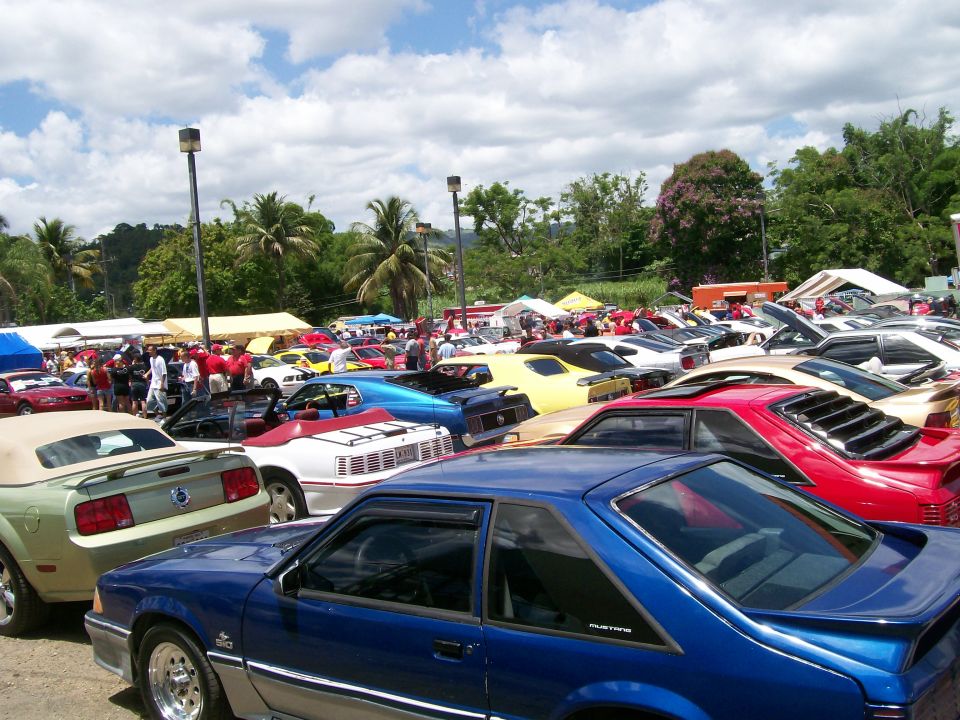2001 Ford Mustang and other cars at a show