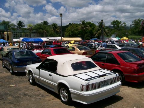 2001 Ford Mustang - A white convertible Mustang is parked at an outdoor car show with many other vehicles visible.