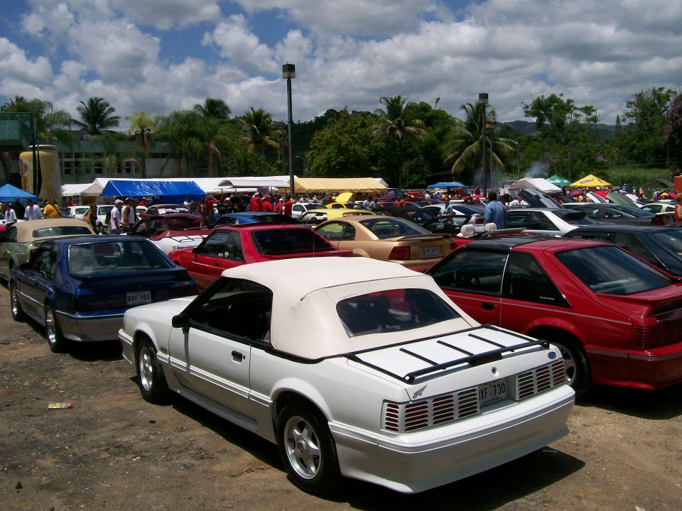 White convertible Mustang parked at an outdoor car show with other Mustangs in the background