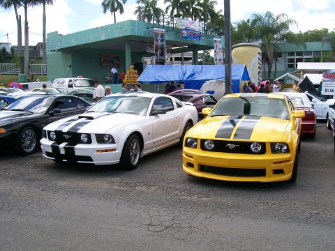 2001 Ford Mustang - Two Ford Mustangs, one yellow and one white, are parked side-by-side at an outdoor event.