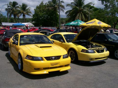 2001 Ford Mustang - Two yellow Ford Mustangs, one a 2001 model with ROUSH Performance branding, are displayed at an outdoor car show.