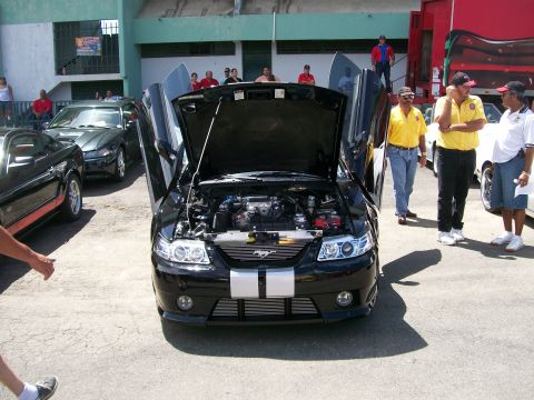 2001 Ford Mustang - A black 2001 Ford Mustang is displayed with its gullwing doors and hood open at an outdoor car show.