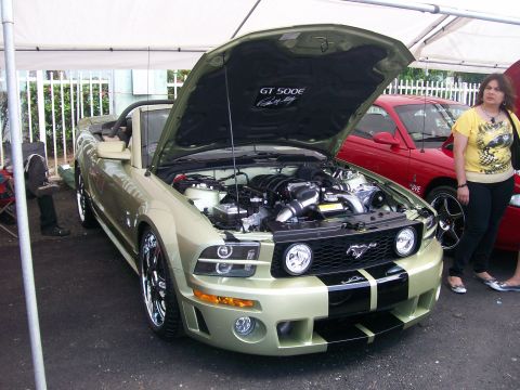 2001 Ford Mustang - A light green Ford Mustang convertible is displayed with its hood open, showing the engine and racing stripes.