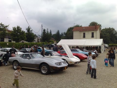 1991 Ford Crown Victoria - Several classic cars are on display at an outdoor gathering, with a white tent in the background.