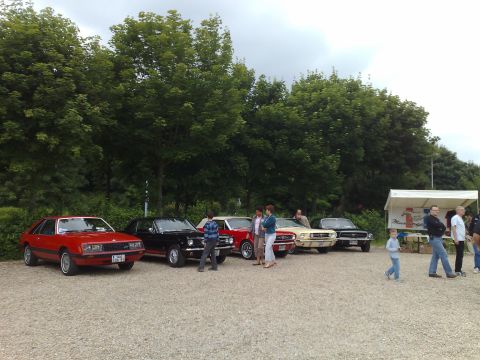 1991 Ford Crown Victoria - Several classic Ford Mustangs are lined up at an outdoor event.