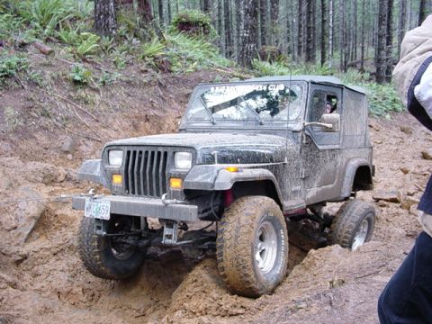 1995 Jeep Wrangler “Black Dragon”