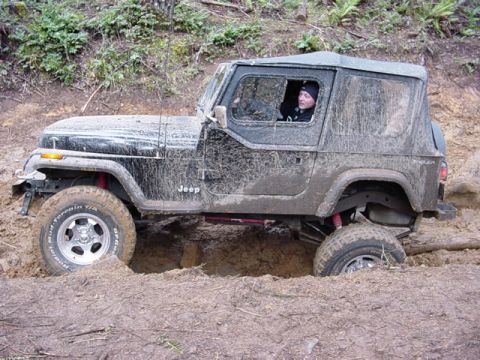 1995 Jeep Wrangler “Black Dragon”