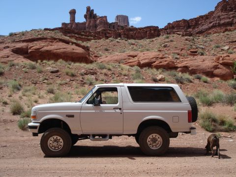1995 Ford Bronco photo