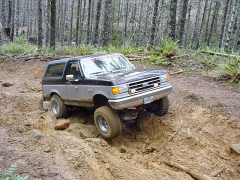 1995 Jeep Wrangler “Black Dragon”