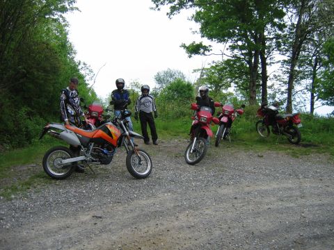 1985 Ford LTD Crown Victoria - Several motorcycles and their riders are gathered on a gravel path surrounded by trees.