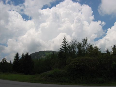 1985 Ford LTD Crown Victoria - A scenic view of a mountain covered in trees under a dramatic sky filled with large, white clouds.