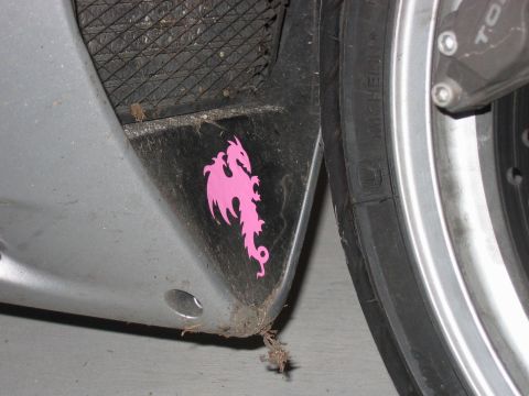 1985 Ford LTD Crown Victoria - A close-up view of a motorcycle's fairing shows a pink dragon decal next to the front tire.