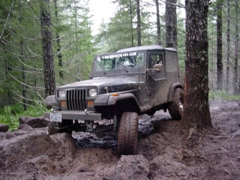 1995 Jeep Wrangler “Black Dragon”