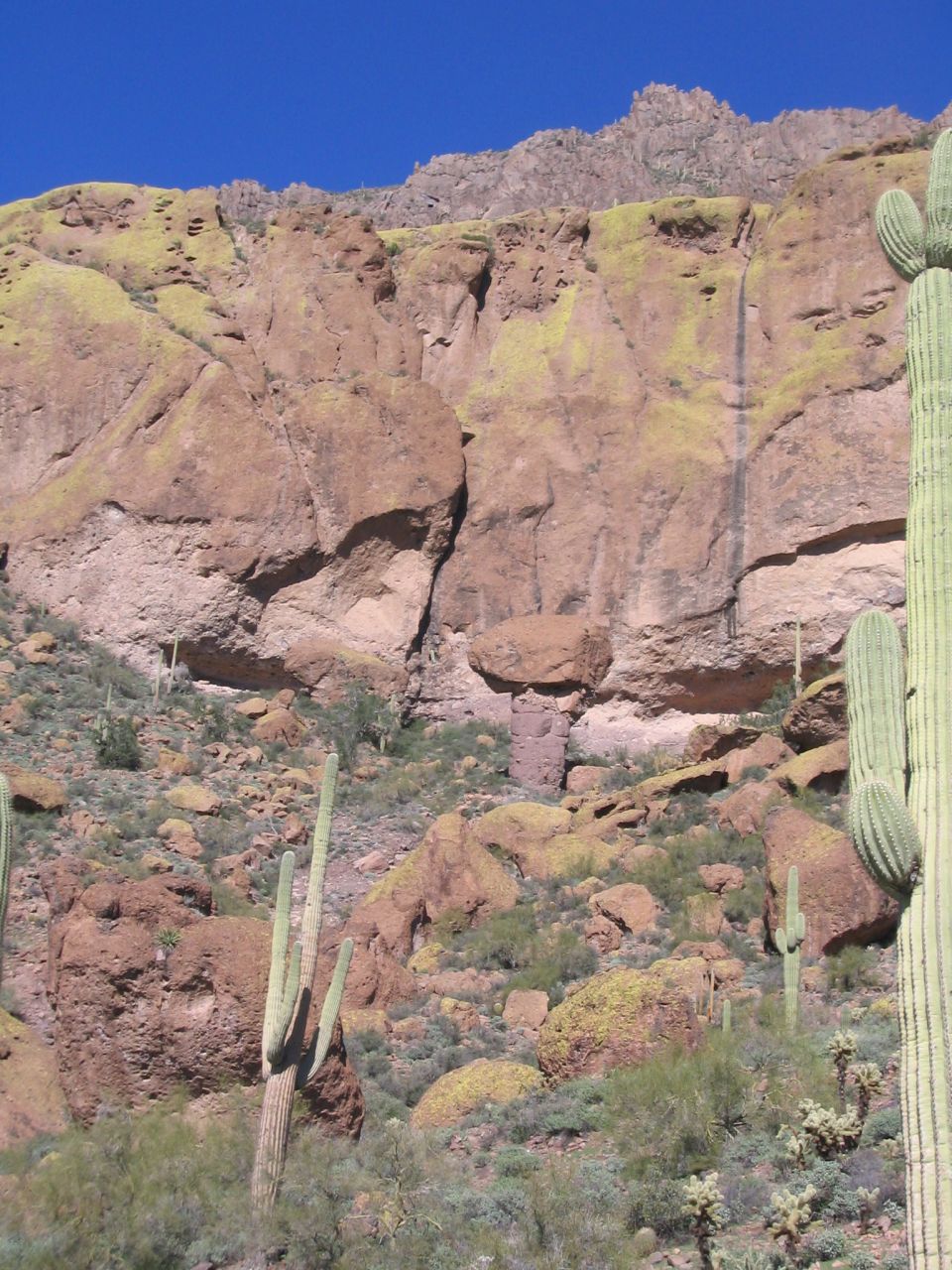 Desert cliff with saguaro cacti and a mushroom-shaped balanced rock