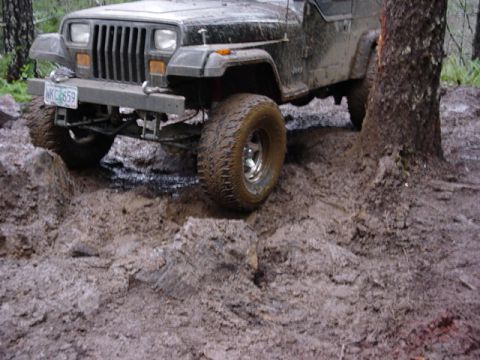1995 Jeep Wrangler “Black Dragon”