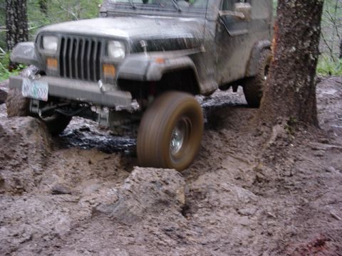 1995 Jeep Wrangler “Black Dragon”