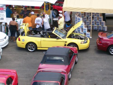 2001 Ford Mustang - A yellow 2001 Ford Mustang convertible is displayed with its hood and trunk open at an outdoor car show.