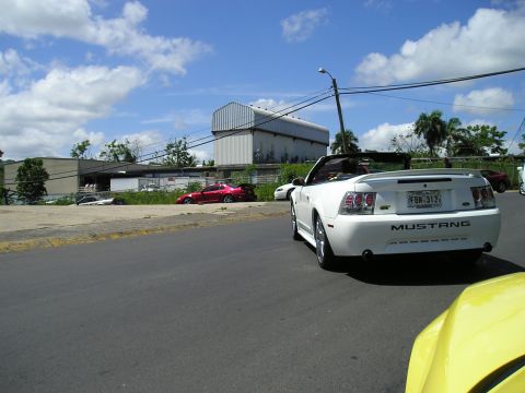 2001 Ford Mustang - A white convertible Mustang is parked on the street with other vehicles and buildings in the background.