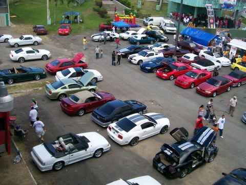 2001 Ford Mustang - A gathering of Ford Mustangs, including a white coupe with racing stripes, parked in an outdoor lot.