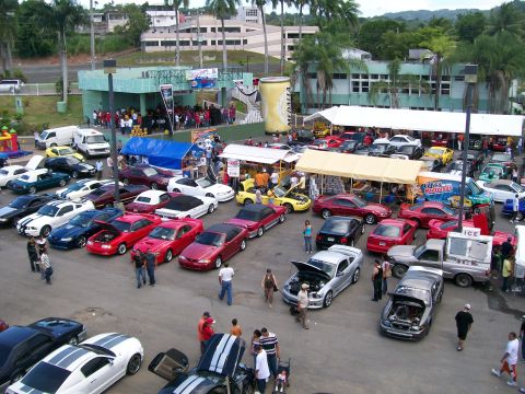 2001 Ford Mustang - Outdoor car show numerous Ford Mustangs, with attendees gathered around.