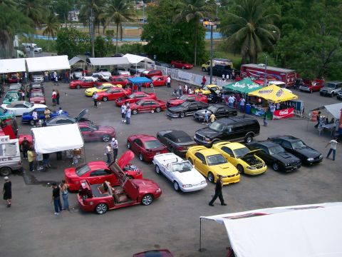 2001 Ford Mustang - An outdoor car show features a variety of vehicles, including several Mustangs, under tents and palm trees.