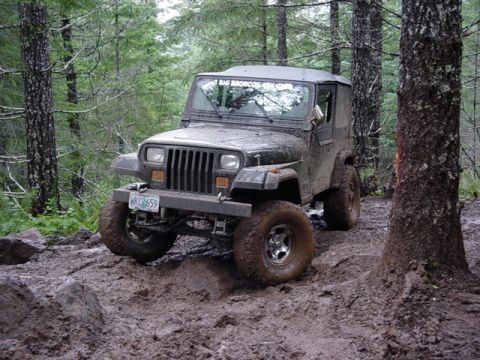 1995 Jeep Wrangler “Black Dragon”