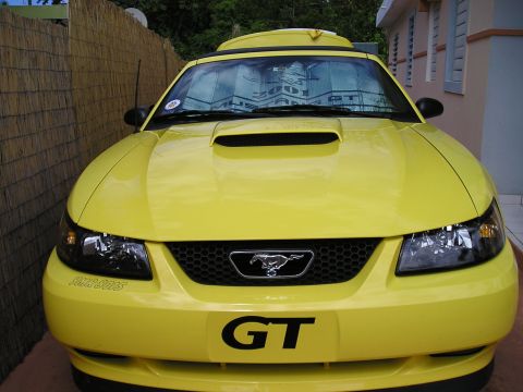 2001 Ford Mustang - This yellow 2001 Ford Mustang GT features a prominent GT badge on the front grille and the iconic Mustang pony emblem.