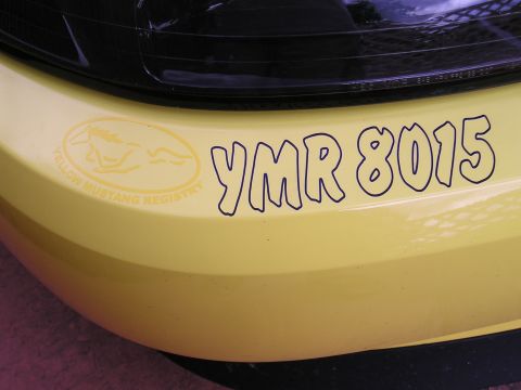 2001 Ford Mustang - A yellow car bumper displays 'YMR 8015' and a 'Yellow Mustang Registry' sticker, indicating it's part of a car club.