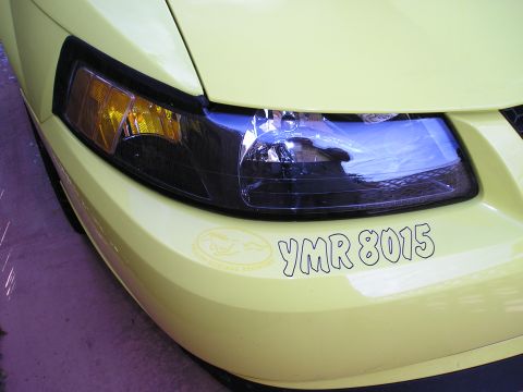 2001 Ford Mustang - Front corner of a yellow 2001 Ford Mustang shows the headlight and a custom sticker.