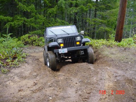 1995 Jeep Wrangler “Black Dragon”