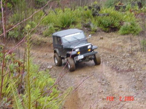 1995 Jeep Wrangler “Black Dragon”