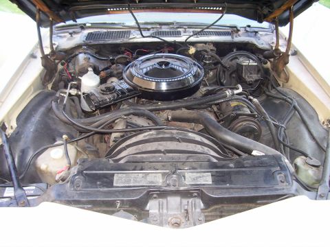 1979 Chevrolet Camaro “sale pics”