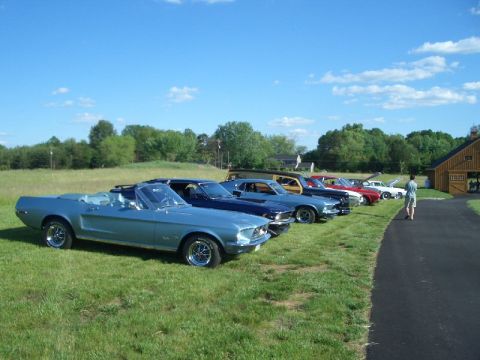 1970 Ford Mustang - A row of classic cars, including a light blue convertible, are parked on a grassy field next to a paved driveway.