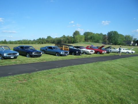 1970 Ford Mustang - A lineup of classic cars, including a 1970 Ford Mustang, at an outdoor event.