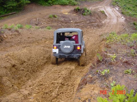 1995 Jeep Wrangler “Black Dragon”