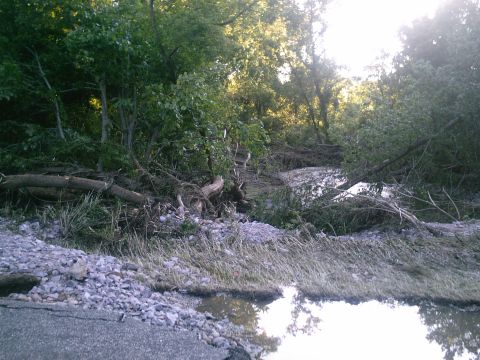 2001 Dodge 2500 - A road is submerged and covered in debris from a flood, with trees and branches scattered across the scene.
