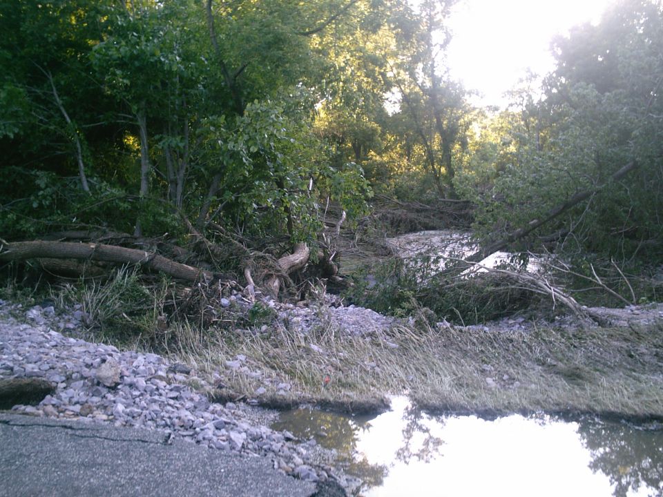 Flooded road with debris and trees