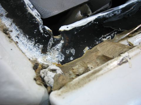 1995 Ford C-350 (Centurion Conversions) - Debris has accumulated in the windshield seal, obscuring the view and potentially causing damage.
